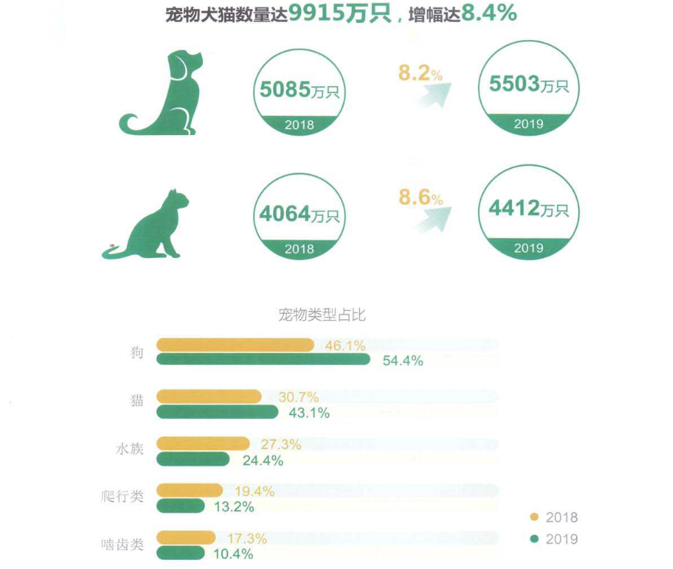 行业专家推荐的十大名犬权威排名榜单