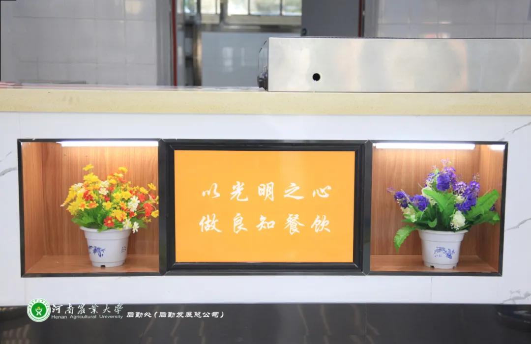 美美美，14000㎡等你发现，农大餐厅焕新啦