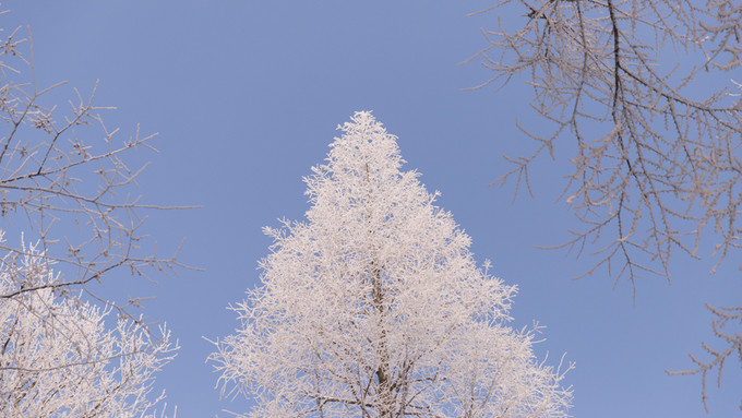 冬季莫干山徒步赏雪攻略