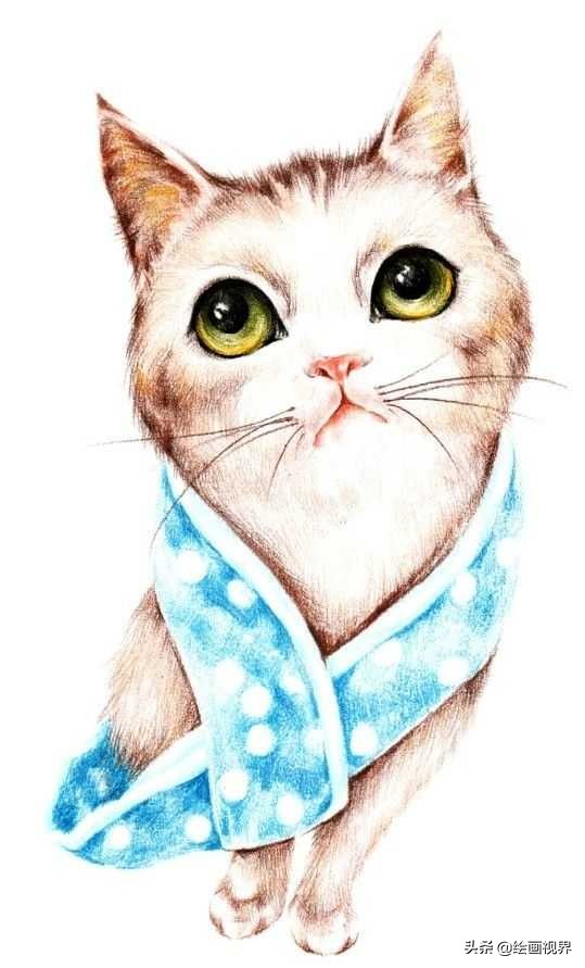 彩铅画入门教程步骤图