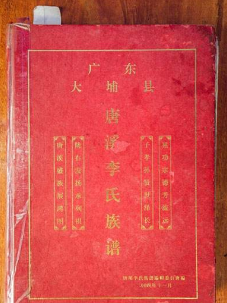 唐朝末年傀儡皇帝，在位3年被大臣毒死，1000年后子孙在海外建国