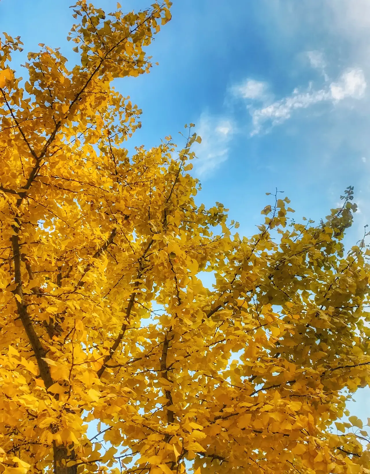 什么？你说头条创作，没有素材可写？教你3招，素材随你挑选