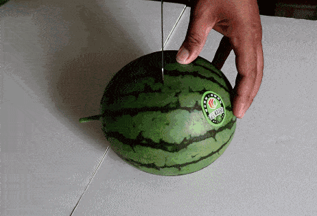 462_315gif 动态图 动图