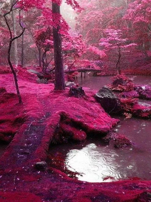 落花雨你飘摇的美丽是什么歌（落花雨你飘摇的美丽是什么歌歌词是什么意思）-第10张图片-易算准