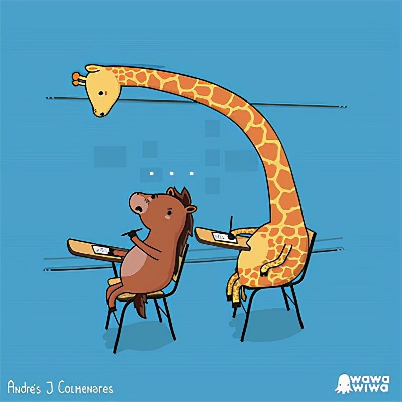 一组治愈系的小幽默,一个温暖的小惊喜