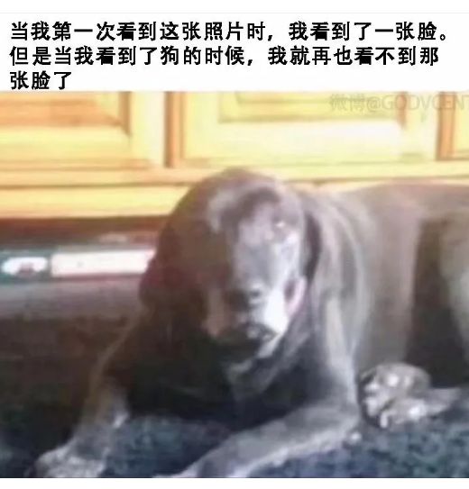搞笑神评！这个藏头诗你能看出多少内涵