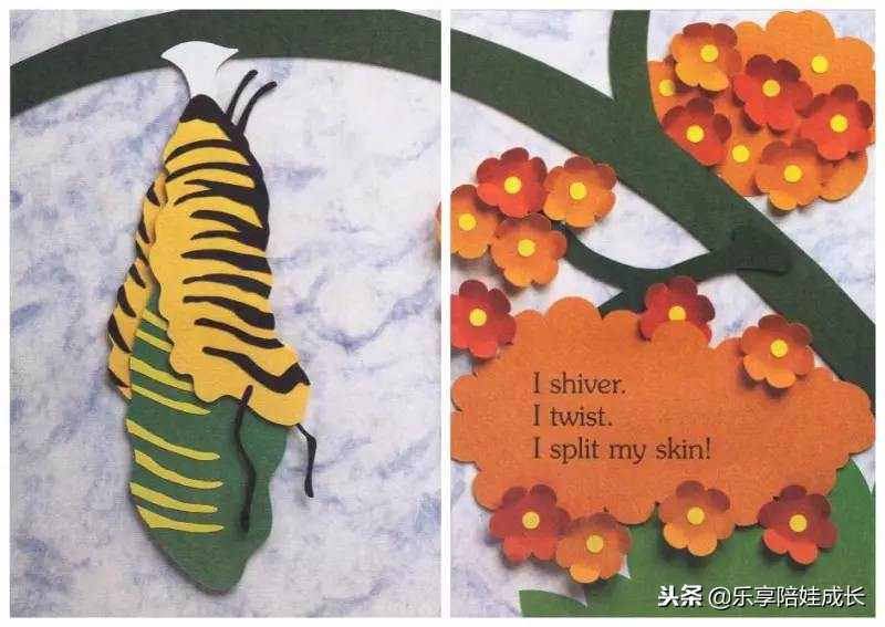 绘本磨耳朵：I'm a Caterpillar 中文《我是一条毛毛虫》！