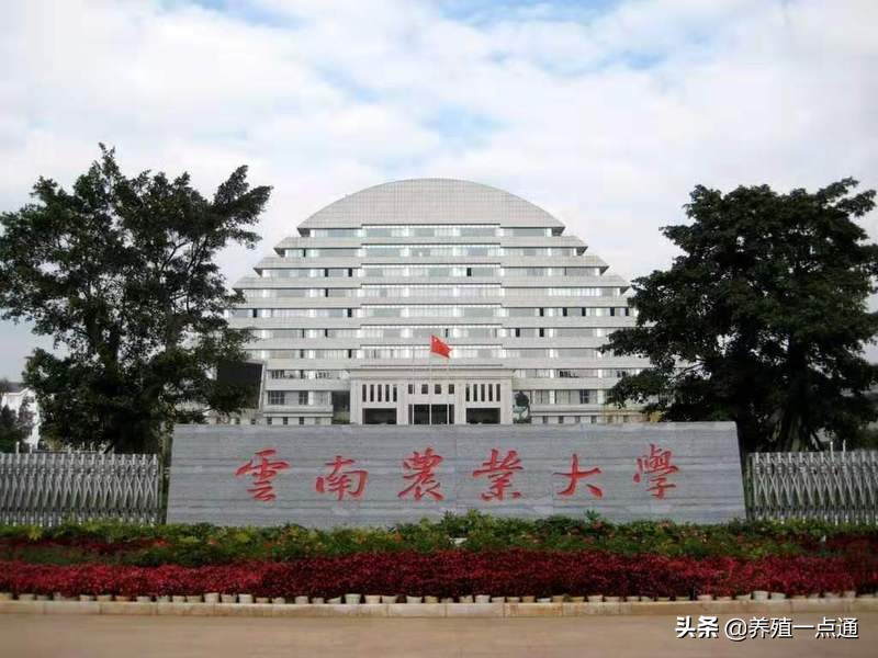 冷静（女），苗族，云南农业大学教授、博导，饲料配方专家