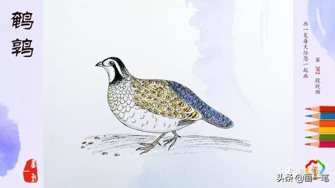 水彩画：凤凰于飞，翙翙（huì）其羽