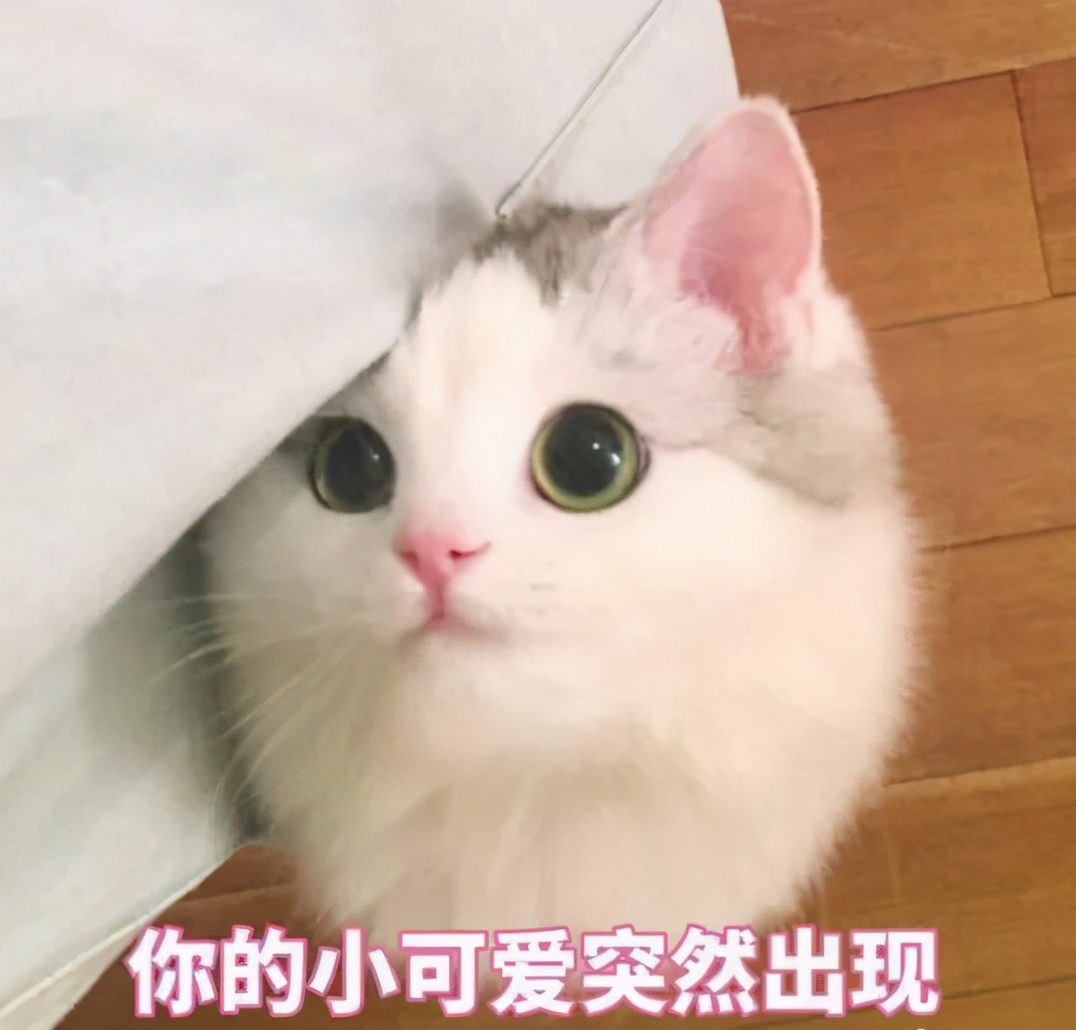 2022年澳门硕士留学申请指南！超全，赶紧收藏