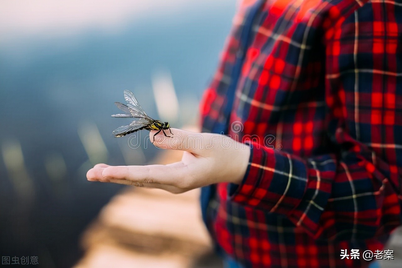 温水煮蛙,温水煮蛙小说 七月荔结局