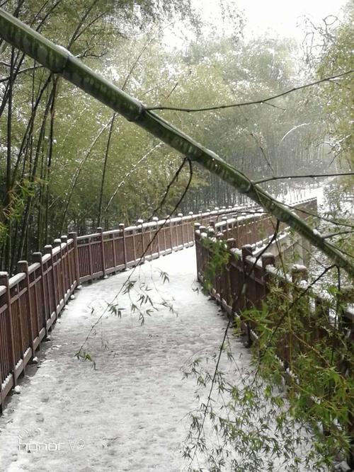 赋古风诗写竹林，寒宵霁雪，遥念山阳竹林，追思竹林六贤及竹林会