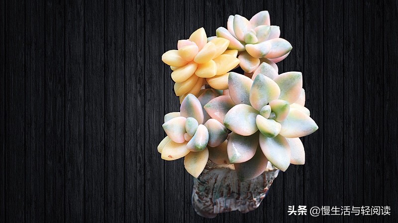 真的免费？5年9大板块5000字的期刊，真的免费