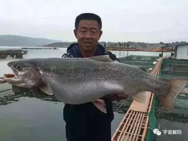 以科学之名：十二种极端的动物基因改造