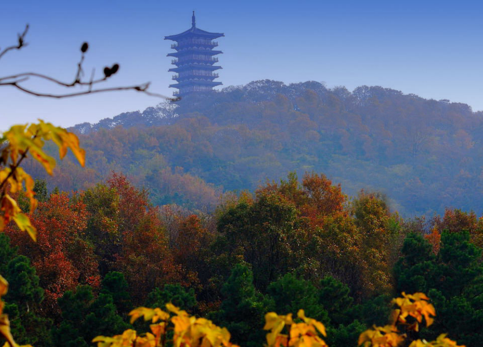 腾讯“元老”魏震：赚够钱后辞职，携妻儿退隐山林，每日喝茶种地