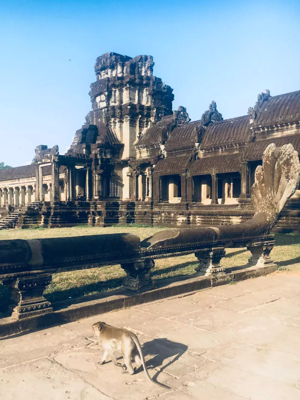 angkor wat——塔布籠寺ta prohm——茶膠寺ta keo——周薩神廟chau