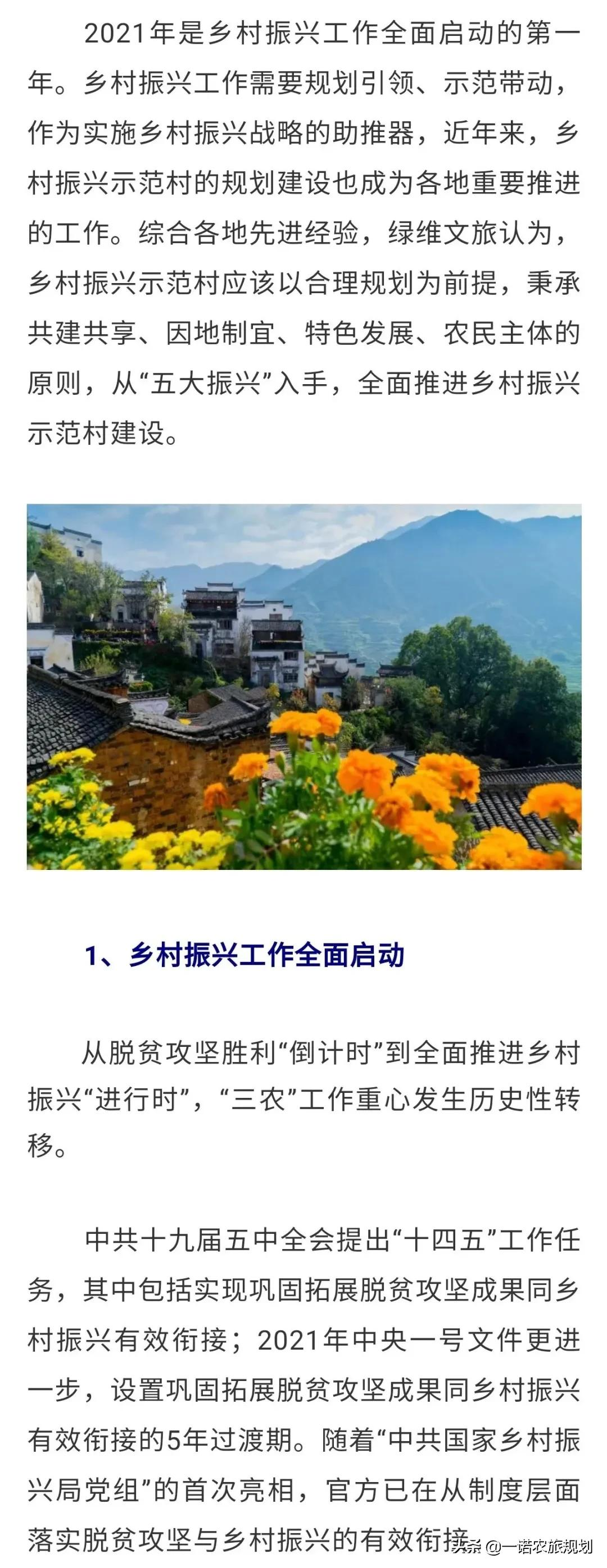 乡村振兴示范村,应该怎么干?
