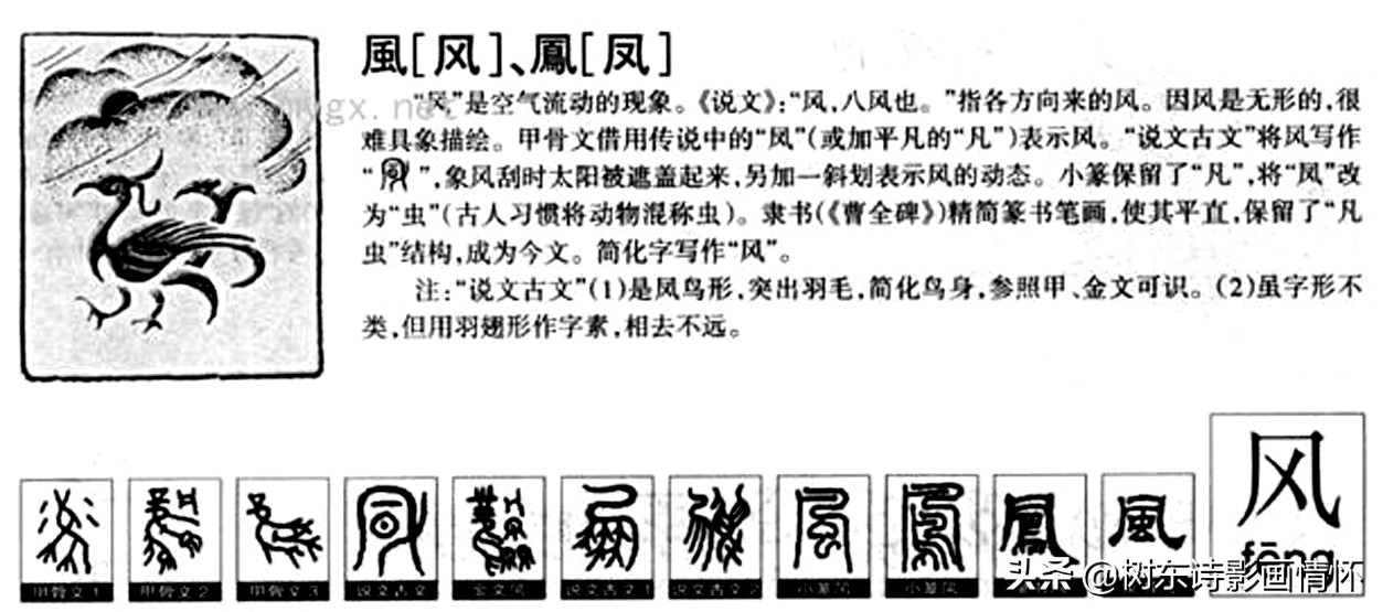 了解“风”字演变，读带“风”字诗句，爽借人间东“风”