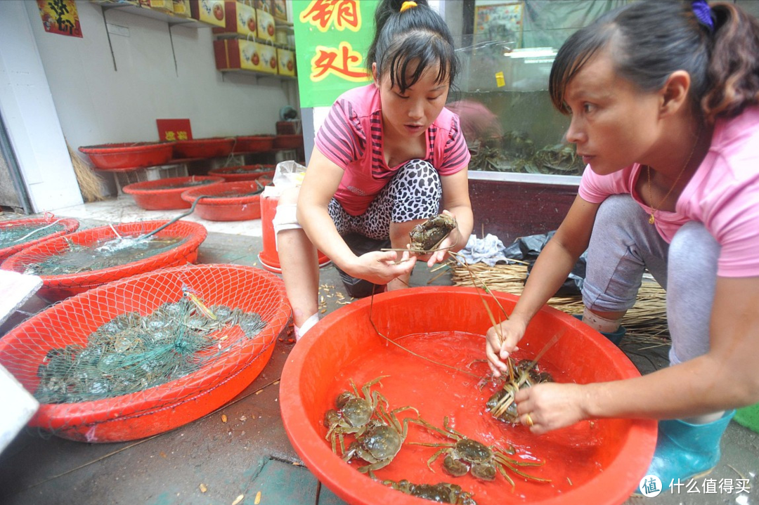 买螃蟹时,遇到公蟹和母蟹怎么选?蟹农解析:分清时间节点很重要