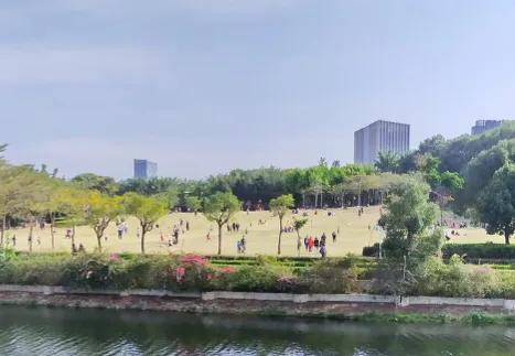 深圳十大免费特色的湖泊公园