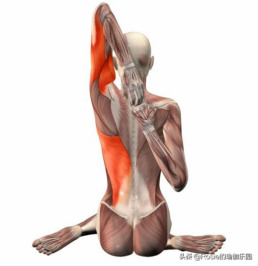 久坐臀部扁塌大腿粗，整日抱娃肩背痛，3招教你瘦腿去痛变美