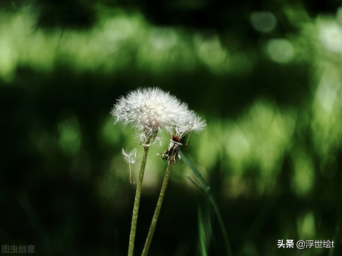 掌握概率思维，像高手一样把握机会，提高人生胜算，更智慧地生活