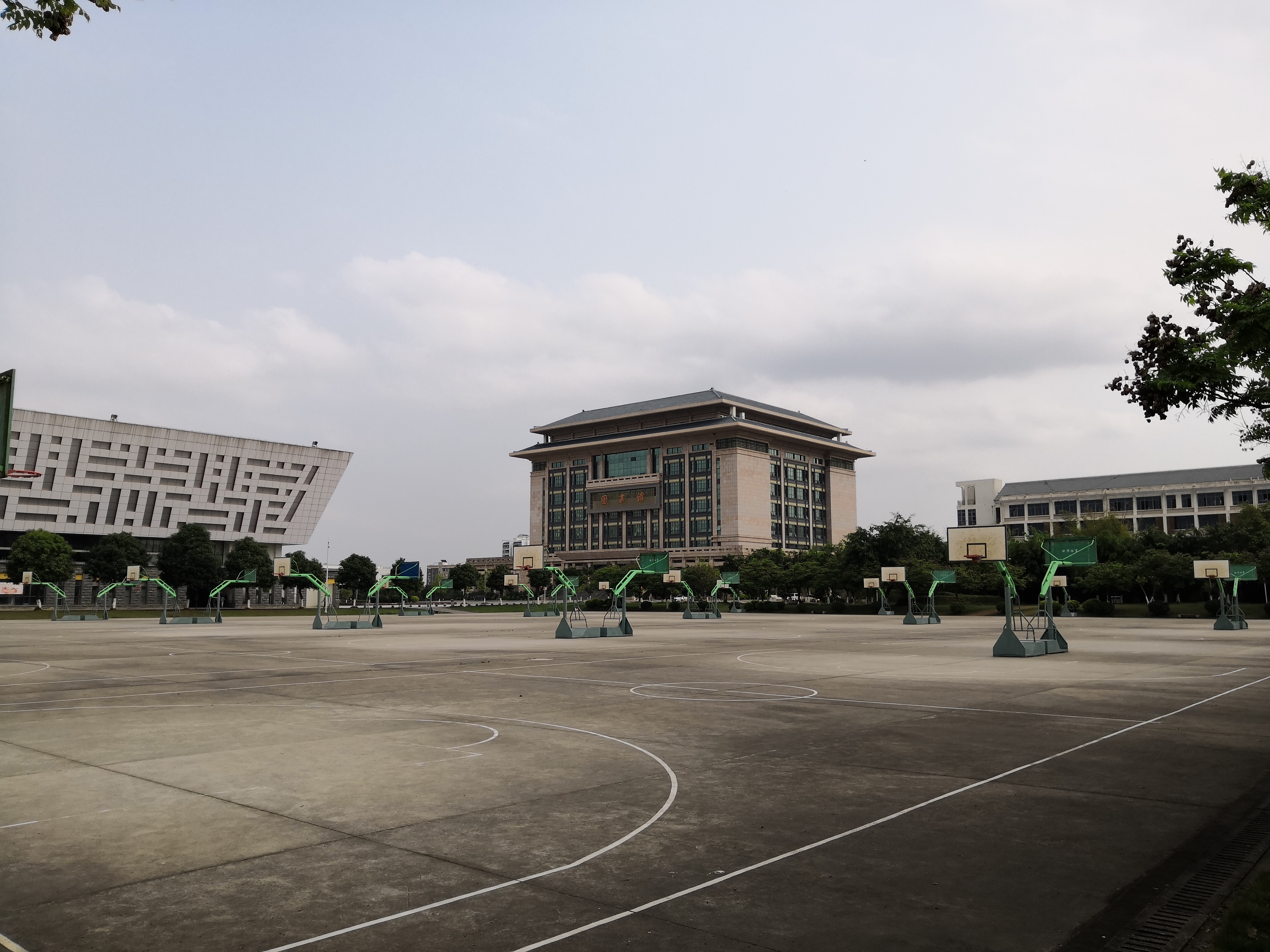 南宁学院,是我见过的最漂亮的学校