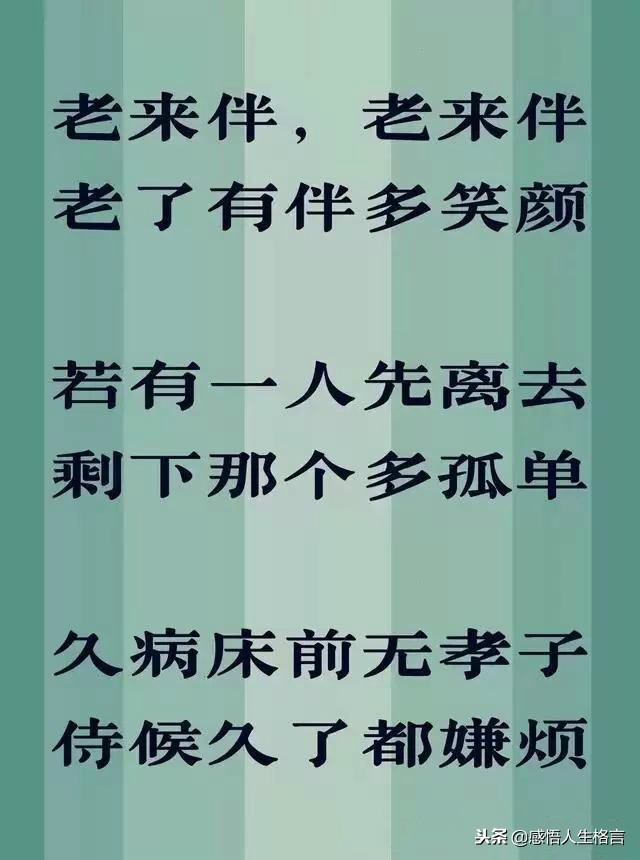 不孝到头终有报，劝君莫把老人嫌