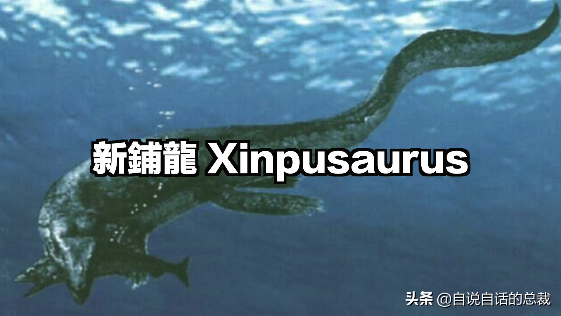 5种比巨齿鲨还恐怖的海怪，背后隐藏着一个人类起源的故事