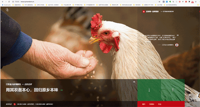 谷歌超强免费插件！一键下载上千张图片，网友：解放双手了！