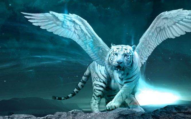 其封号,青龙号为"孟章神君",白虎号为"监兵神君",朱雀号为"陵光神君"