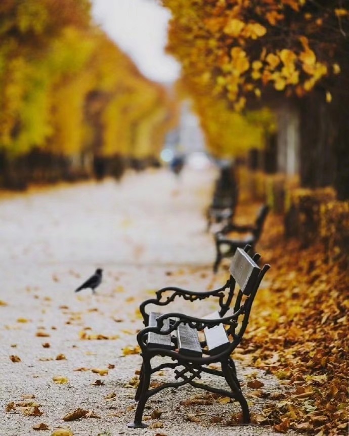 散文：余生，用人生理想，梦的丰满，对抗现实生活的骨感