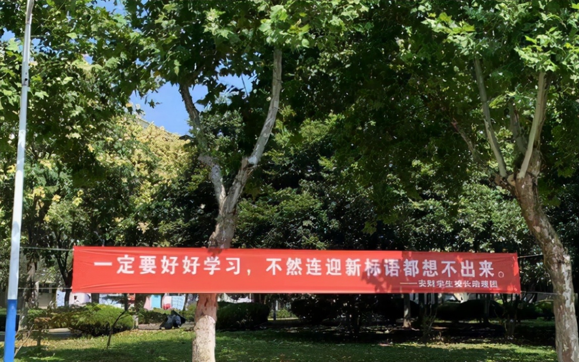 又是一年开学季，安徽财经大学迎新标语走红，每条都不让学生失望