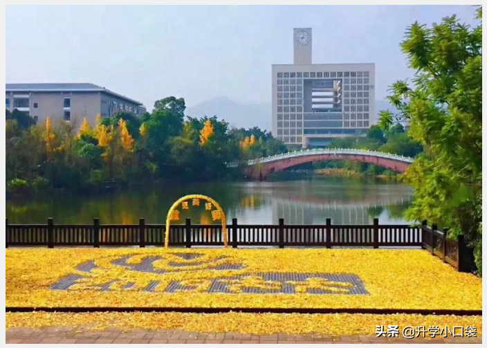 这9所好学校，具有“保研”资格，今年在重庆的录取分数不足470分