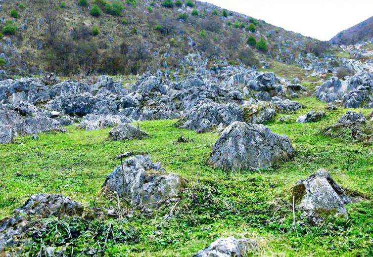 石灰岩属于什么岩（石灰岩属于什么岩白云岩能不能适用桥梁等大型建筑用）-第8张图片-昕阳网