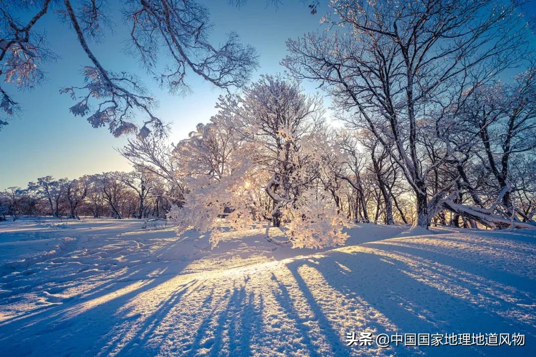 男篮世界杯夺冠热能(辽宁、吉林、黑龙江，谁能代表东北？)