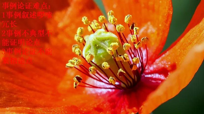 ֤֤(zheng)ã-Ѷ