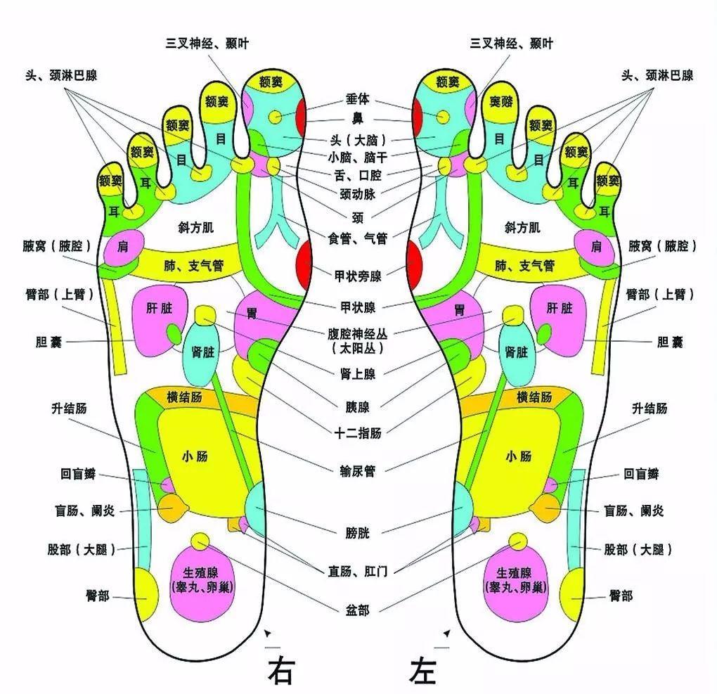 脚底图解大全 男人图片