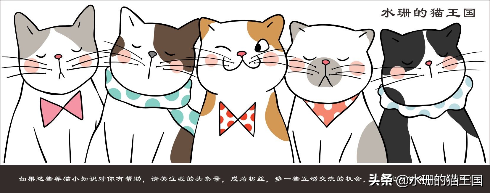 猫咪打嗝、反胃怎么办？猫咪吃完就吐是怎么回事儿？如何给猫养胃