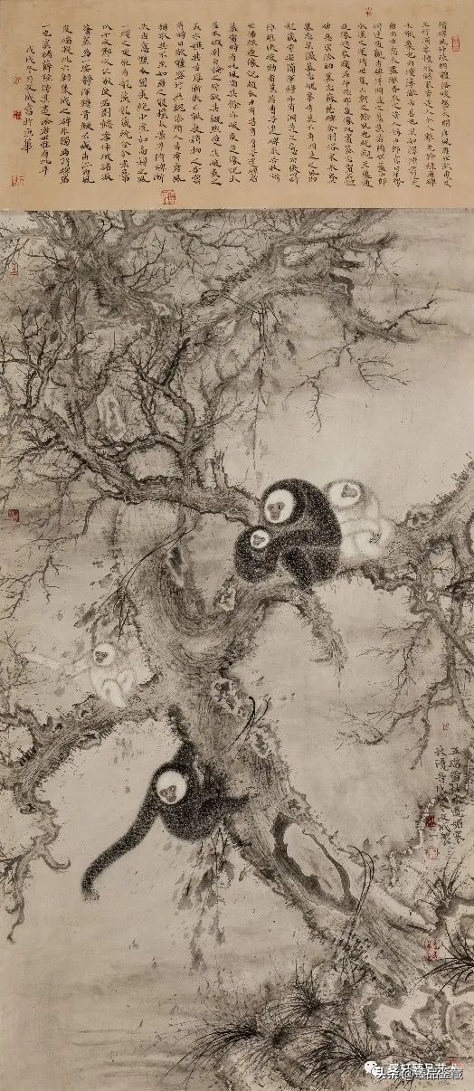 走到黑走到明 | 孔文成花鸟画的脉路