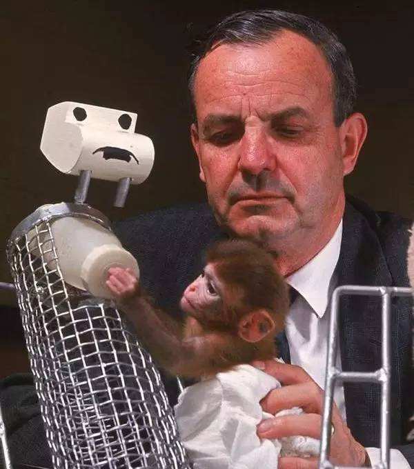 关店2个月陪考，女儿能上北大：懂得陪伴的家庭，赢在哪里？