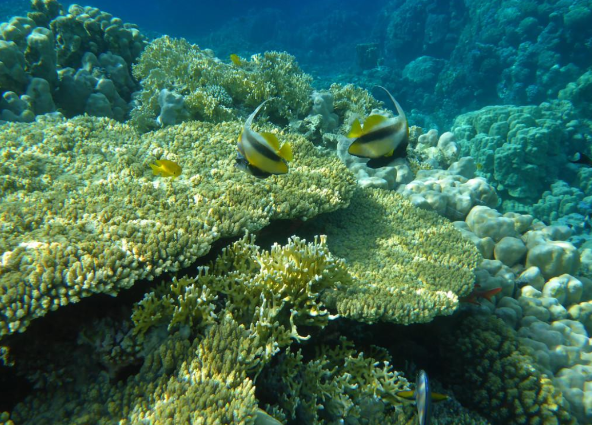 永暑岛的重要性