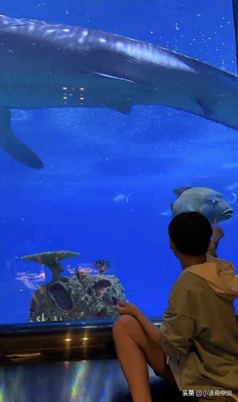 全红婵搞怪！对着镜头做鬼脸，在游乐园吃套餐，激流勇进坐过瘾了