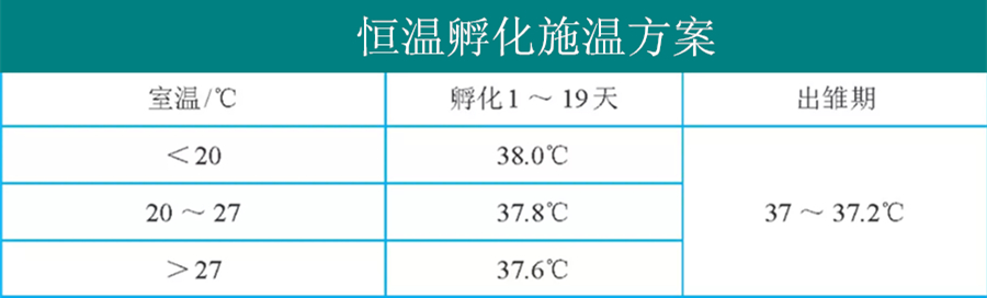 鸡蛋孵化温度和湿度（鸡蛋孵化温度和湿度是多少度）-第3张图片-昕阳网