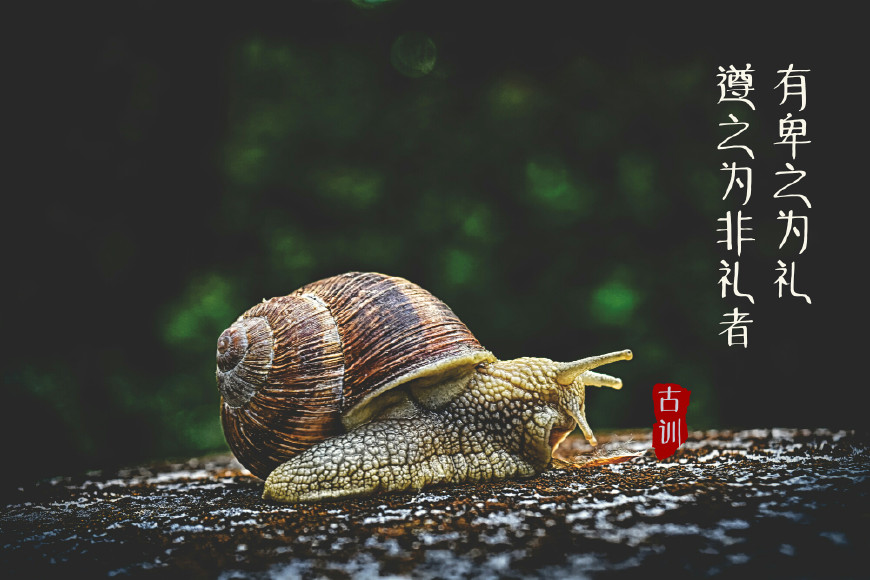 古人智慧警示：识破圈套，防微杜渐