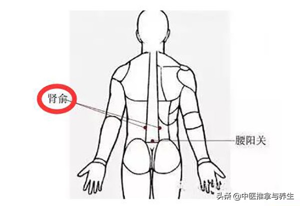 “葵花点穴手”重出江湖，轻松搞定腰酸背痛，就是这么简单