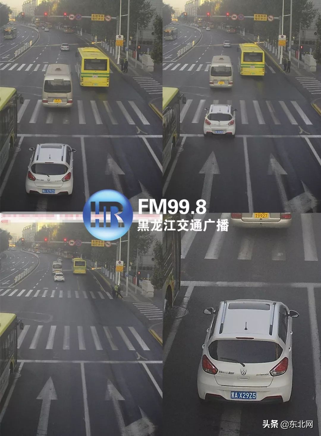 哈尔滨交警部门曝光一批车牌号！看看有你没？