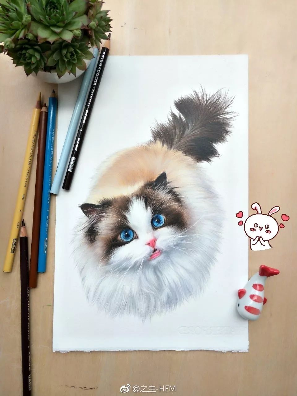 95后画了一组彩铅，绝了