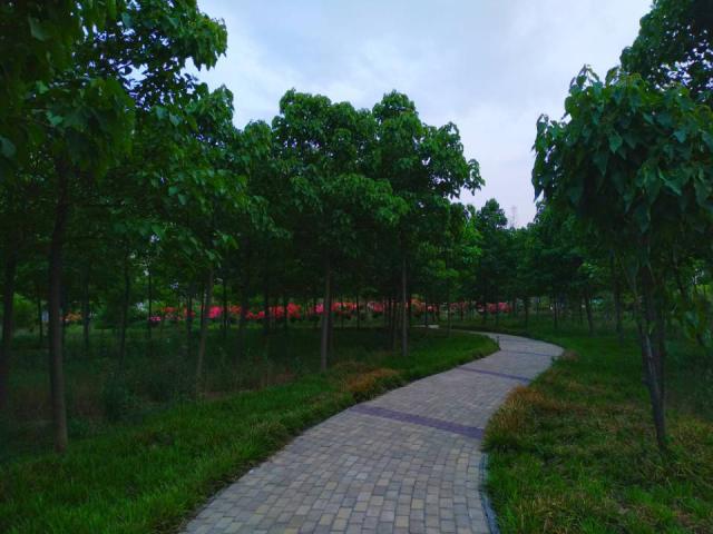 河南：2016年升本的那两所工科院校，现在怎么样了？