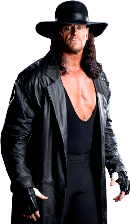 美国职业摔角运动员(wwe美国职业摔角联盟六大战神)